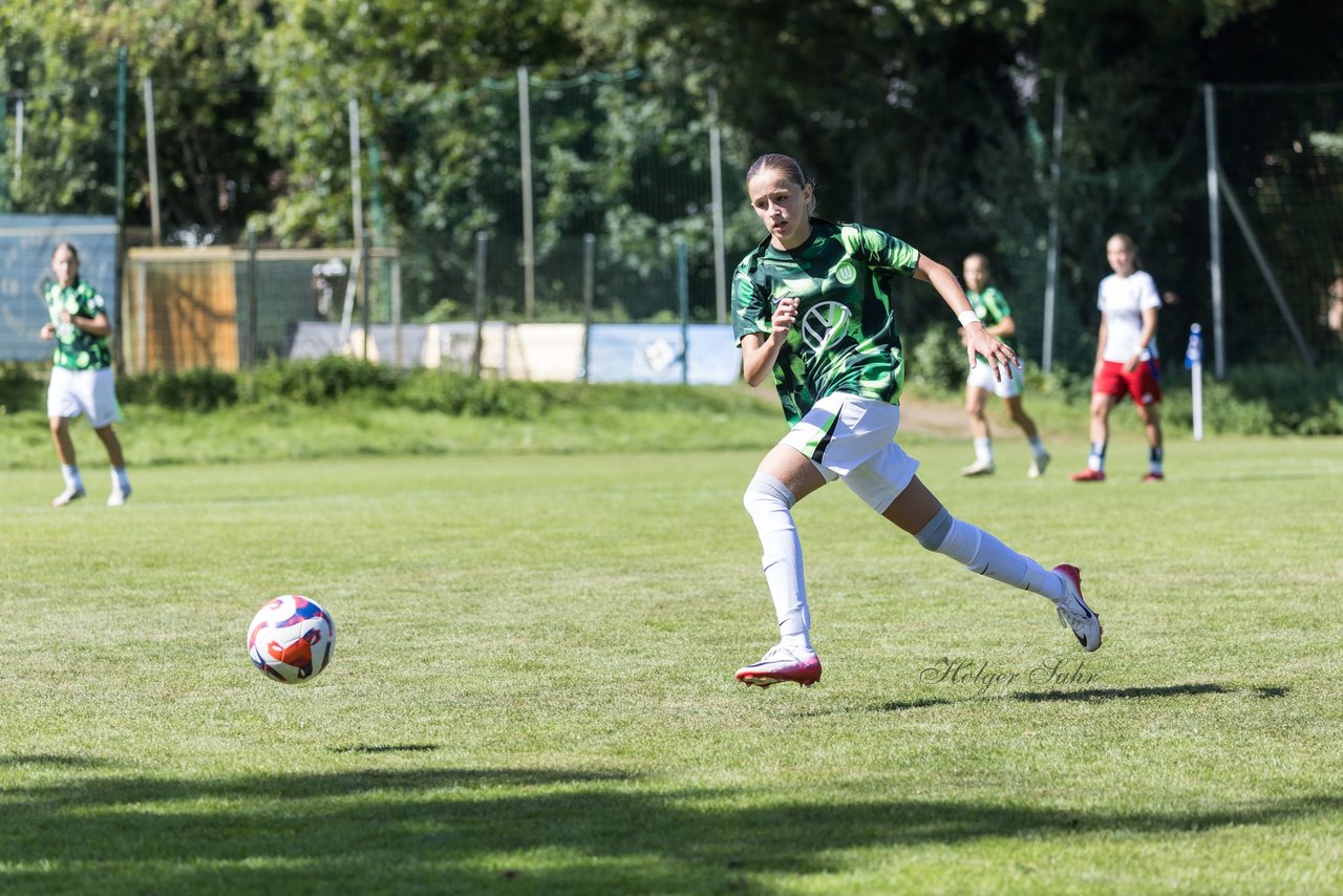 Bild 396 - wBJ Hamburger SV - VfL Wolfsburg : Ergebnis: 5:1